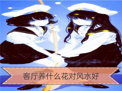 客厅养什么花对风水好 有何注意事项_客厅风水石头摆放注意事项